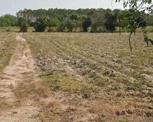 For Rent Land 33,600 sqm in Mueang Rayong, Rayong, Thailand