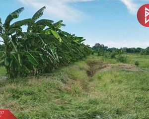 For Sale Land 10,592 sqm in Pho Thong, Ang Thong, Thailand