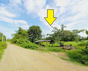 For Sale Land in Nong Suea, Pathum Thani, Thailand