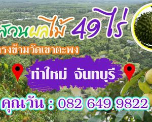 For Sale Land 78,456 sqm in Tha Mai, Chanthaburi, Thailand