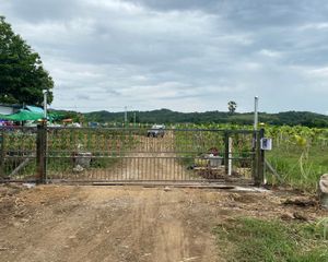 For Sale Land 102,400 sqm in Wichian Buri, Phetchabun, Thailand