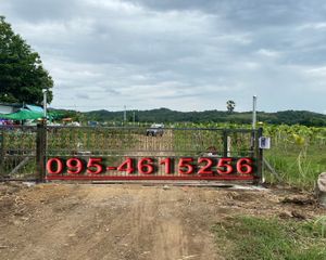 For Sale Land 102,400 sqm in Wichian Buri, Phetchabun, Thailand