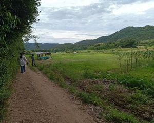 For Sale Land 14,912 sqm in Samoeng, Chiang Mai, Thailand