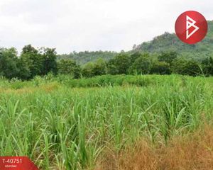 For Sale Land in Hankha, Chainat, Thailand
