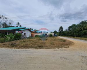 For Sale Land 480 sqm in Sichon, Nakhon Si Thammarat, Thailand