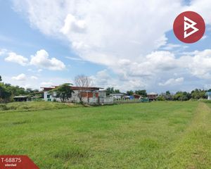 For Sale Land 3,924 sqm in Mueang Surin, Surin, Thailand