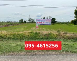 For Sale Land 9,708 sqm in Wang Thong, Phitsanulok, Thailand