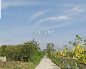 For Sale Land 9,040 sqm in Bang Pakong, Chachoengsao, Thailand
