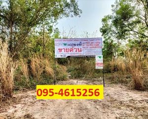 For Sale Land 9,092 sqm in Wihan Daeng, Saraburi, Thailand