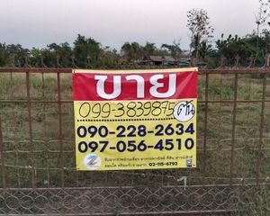 For Sale Land 3,040 sqm in Rong Kwang, Phrae, Thailand