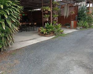 For Sale Land 1,553.6 sqm in Saraphi, Chiang Mai, Thailand