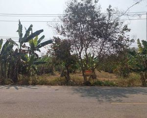 For Sale Land 2,152 sqm in Thung Saliam, Sukhothai, Thailand