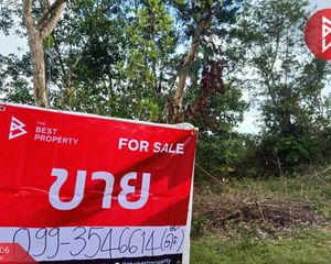 For Sale Land 718 sqm in Pa Bon, Phatthalung, Thailand