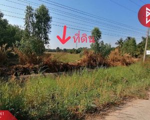 For Sale Land 4,000 sqm in Wang Thong, Phitsanulok, Thailand