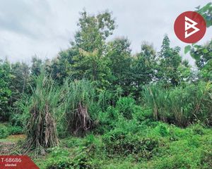 For Sale Land 3,544 sqm in Thoeng, Chiang Rai, Thailand
