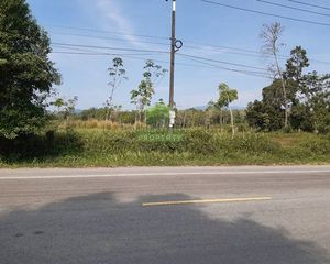 For Sale Land 97,692 sqm in Waeng, Narathiwat, Thailand