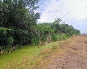 For Rent Land 3,408 sqm in Nong Suea, Pathum Thani, Thailand