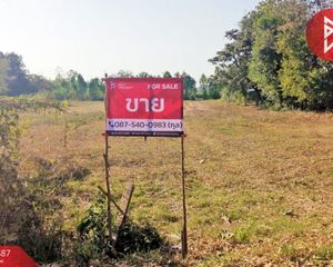 For Sale Land 5,252 sqm in Mueang Khon Kaen, Khon Kaen, Thailand