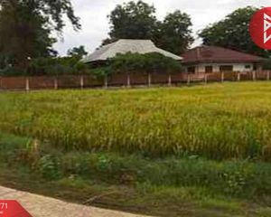 For Sale Land 4,522.8 sqm in Doem Bang Nang Buat, Suphan Buri, Thailand