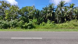 Land for sale in Guinobatan, Bohol