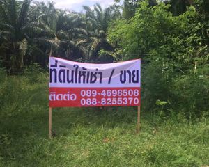 For Sale Land 288 sqm in Mueang Trang, Trang, Thailand
