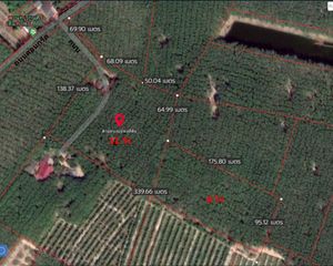 For Sale Land 32,000 sqm in Klaeng, Rayong, Thailand