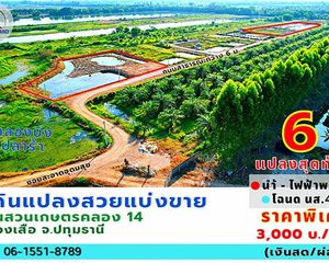 For Sale Land 800 sqm in Nong Suea, Pathum Thani, Thailand