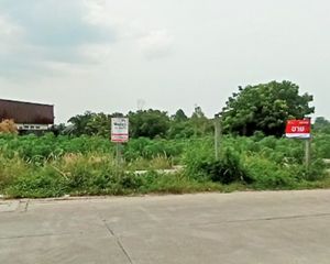 For Sale Land in Mueang Rayong, Rayong, Thailand