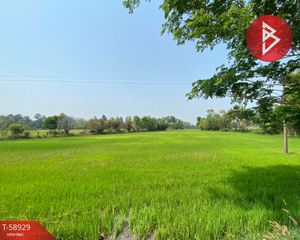 For Sale Land 24,380 sqm in Mueang Roi Et, Roi Et, Thailand