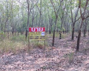 For Sale Land 46,344 sqm in Seka, Bueng Kan, Thailand