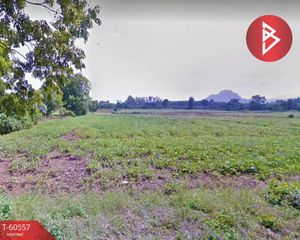 For Sale Land 14,772 sqm in Nong Phai, Phetchabun, Thailand
