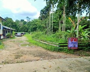 For Sale Land 1,540 sqm in Mueang Nakhon Si Thammarat, Nakhon Si Thammarat, Thailand