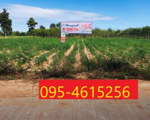 For Sale Land 32,000 sqm in Sahatsakhan, Kalasin, Thailand
