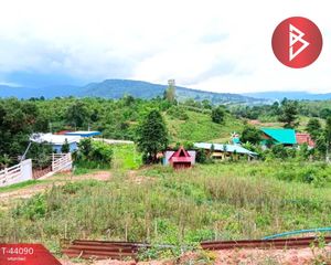 For Sale Land 2,066.8 sqm in Na Haeo, Loei, Thailand