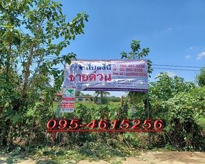 For Sale Land 3,936 sqm in Pak Chong, Nakhon Ratchasima, Thailand