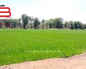 For Sale Land 3,250.8 sqm in Bang Pla Ma, Suphan Buri, Thailand