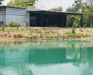 For Sale Land 6,624 sqm in Khlong Thom, Krabi, Thailand