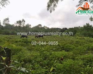 For Sale Land 19,152 sqm in Mueang Udon Thani, Udon Thani, Thailand