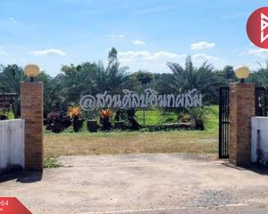 For Sale Land 16,000 sqm in Wiang Kao, Khon Kaen, Thailand