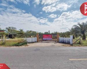 For Sale Land 16,000 sqm in Wiang Kao, Khon Kaen, Thailand