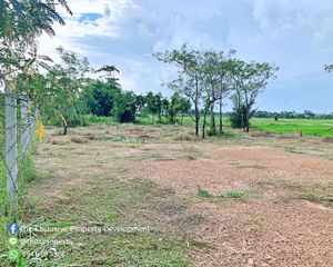For Sale Land 648 sqm in Kaeng Khoi, Saraburi, Thailand