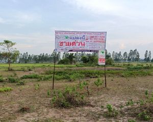 For Sale Land 67,760 sqm in Phran Kratai, Kamphaeng Phet, Thailand