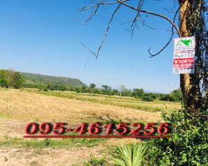 For Sale Land 33,584 sqm in Kaeng Khoi, Saraburi, Thailand