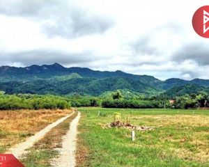 For Sale Land 7,400 sqm in Khao Saming, Trat, Thailand