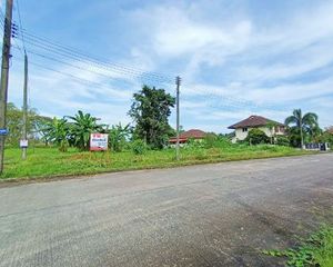 For Sale Land 728 sqm in Mueang Nakhon Si Thammarat, Nakhon Si Thammarat, Thailand