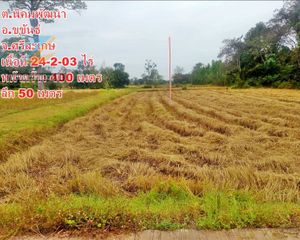 For Sale Land 39,212 sqm in Khukhan, Sisaket, Thailand