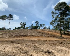 For Sale Land 160,000 sqm in Thalang, Phuket, Thailand