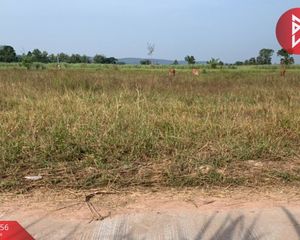 For Sale Land 3,436 sqm in Kut Chap, Udon Thani, Thailand