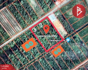 For Sale Land 4,816 sqm in Bang Pakong, Chachoengsao, Thailand