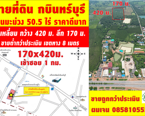 For Sale Land 80,800 sqm in Kabin Buri, Prachin Buri, Thailand